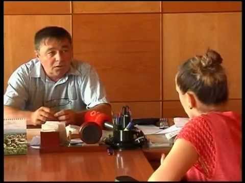 ,,ვისოლი\'-ს პასუხი - ,,ახლებს\'